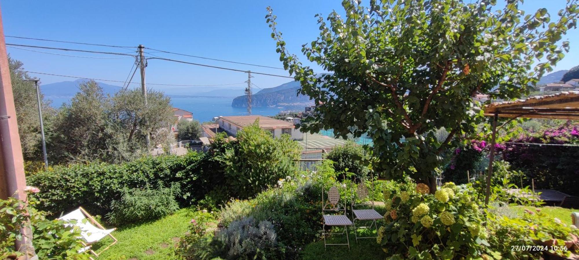 Lally's Garden * Sorrente
